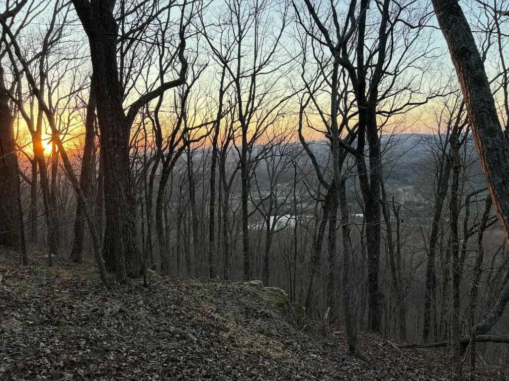 Tract 1 Scenic Highway Mentone AL 35984