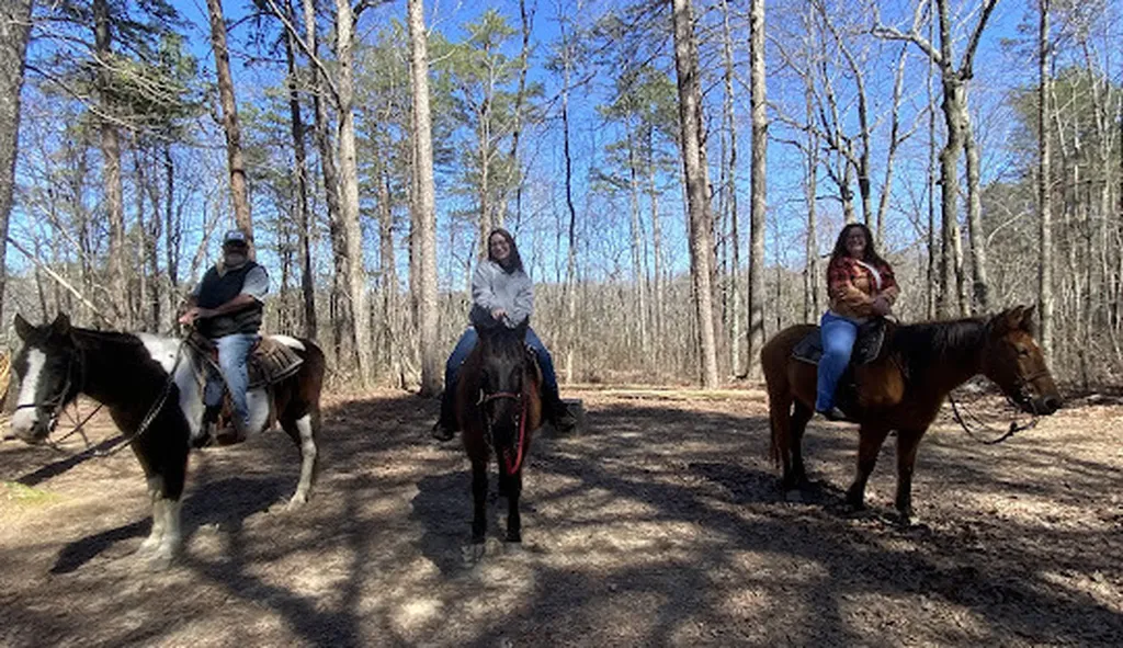 Tract 1 Scenic Highway Mentone AL 35984