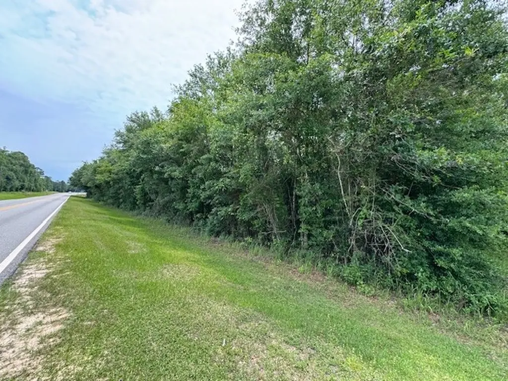 0 Dead Lake Road Creola AL 36525