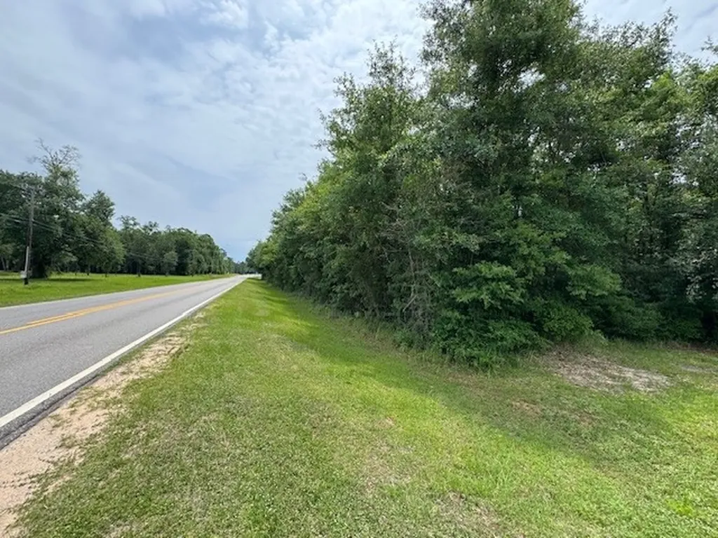0 Dead Lake Road Creola AL 36525