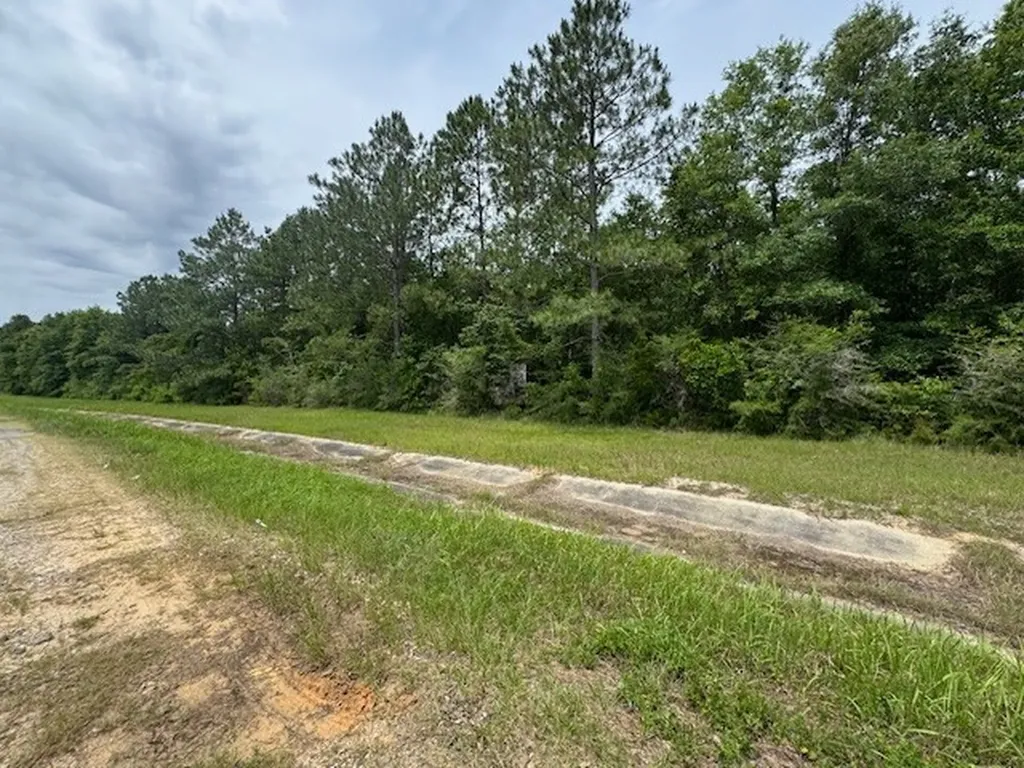 0 Dead Lake Road Creola AL 36525