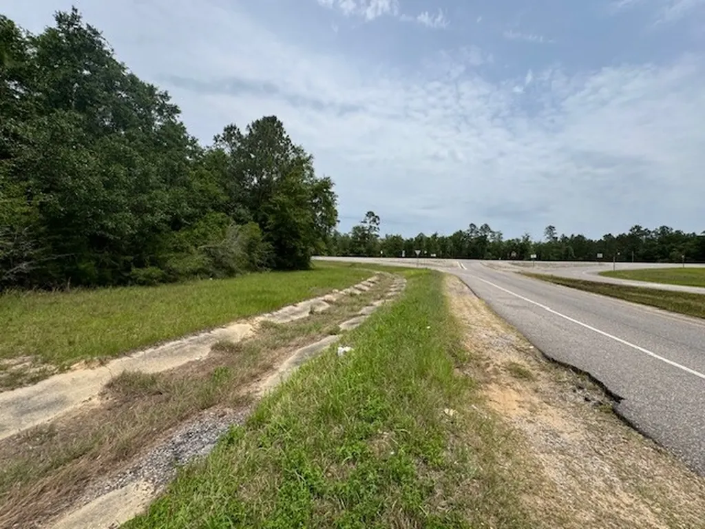 0 Dead Lake Road Creola AL 36525