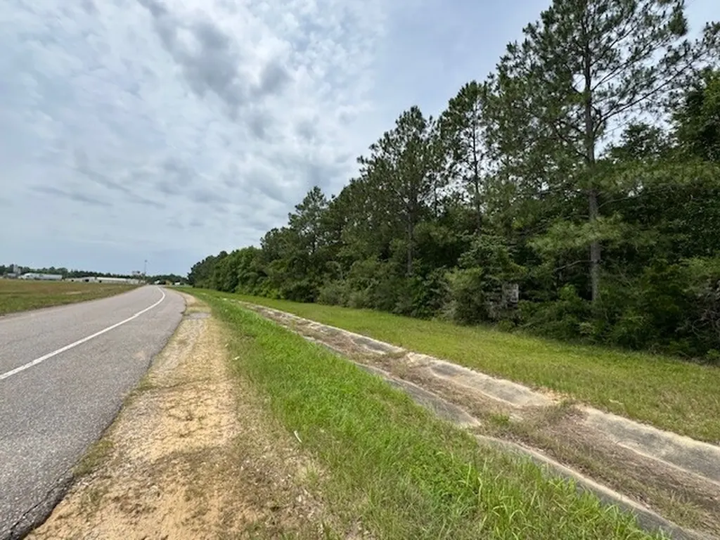 0 Dead Lake Road Creola AL 36525