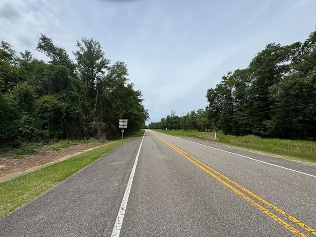 0 Dead Lake Road Creola AL 36525