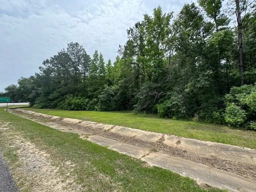 0 Dead Lake Road Creola AL 36525