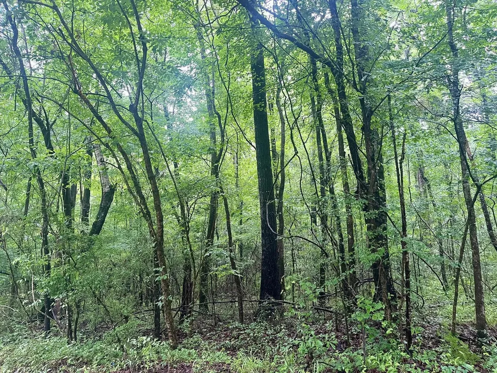 0 Independence Bottom Road Selma AL 36701