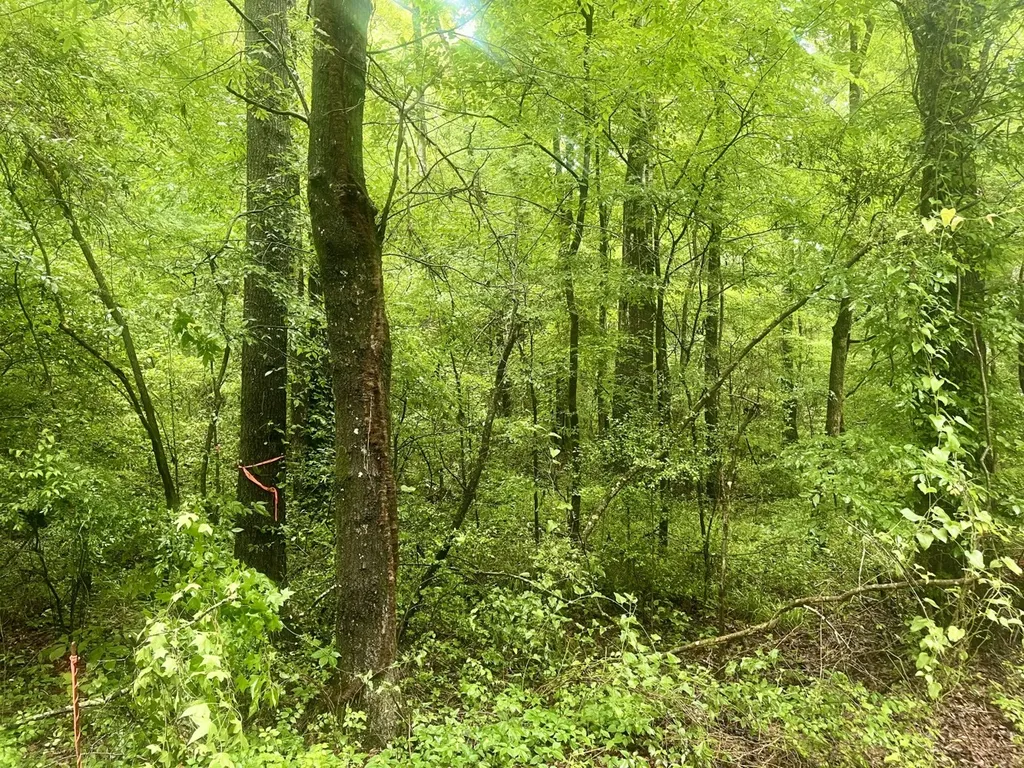 0 Independence Bottom Road Selma AL 36701