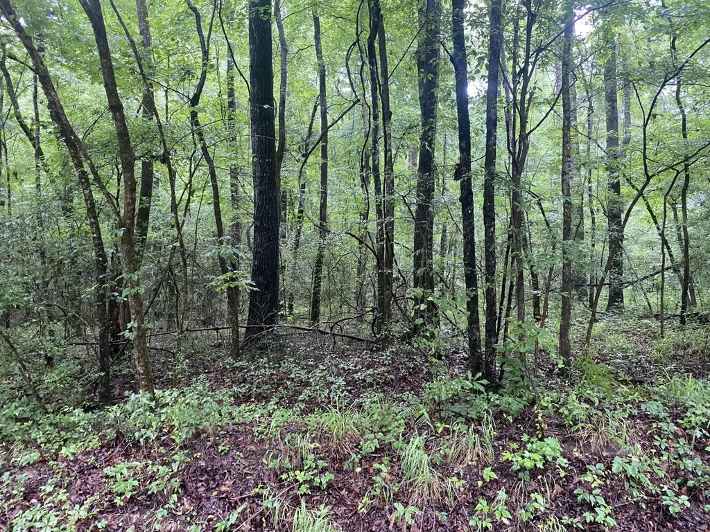 0 Independence Bottom Road Selma AL 36701