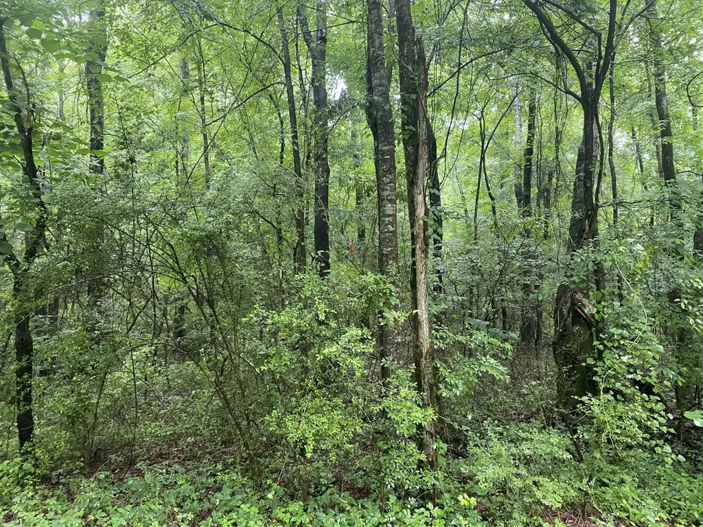 0 Independence Bottom Road Selma AL 36701