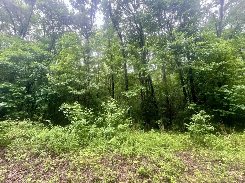 0 Independence Bottom Road Selma AL 36701