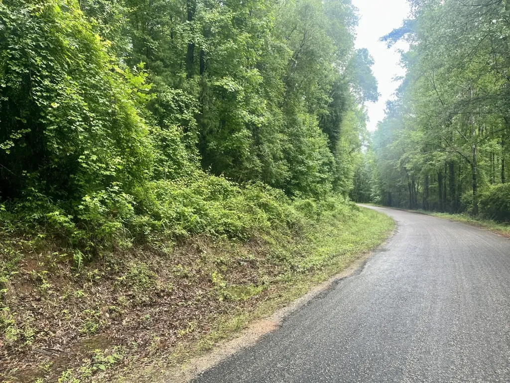 0 Independence Bottom Road Selma AL 36701