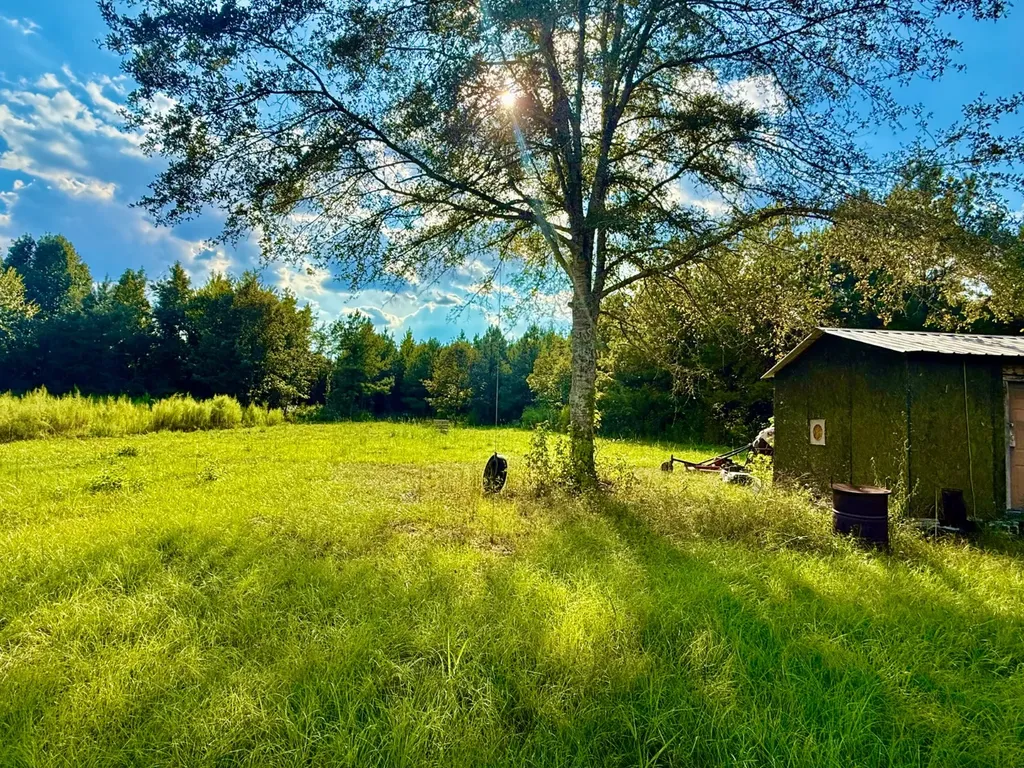 3662 Broad Street Pine Hill AL 36769