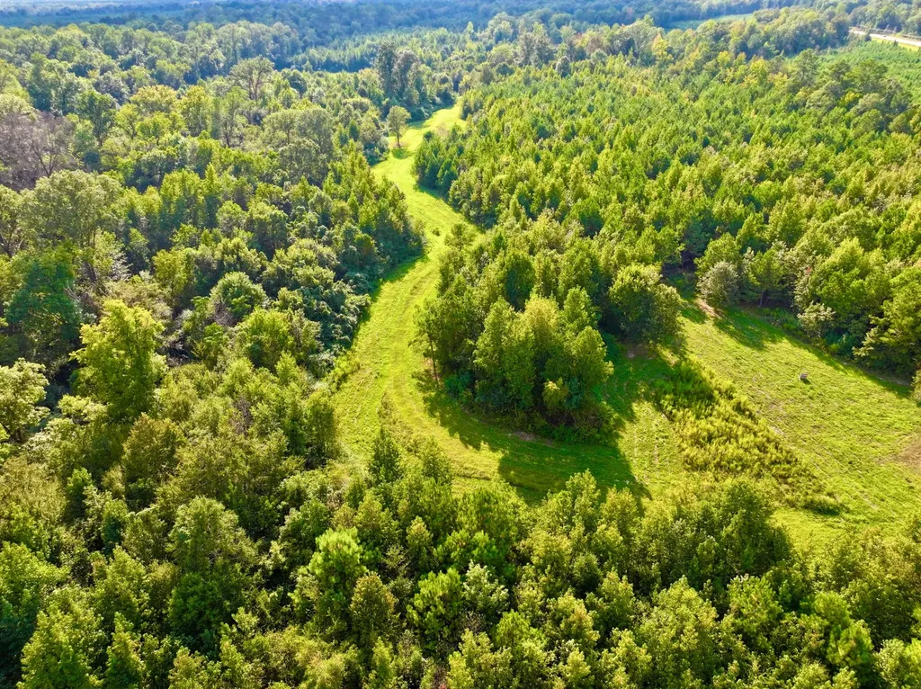 3662 Broad Street Pine Hill AL 36769