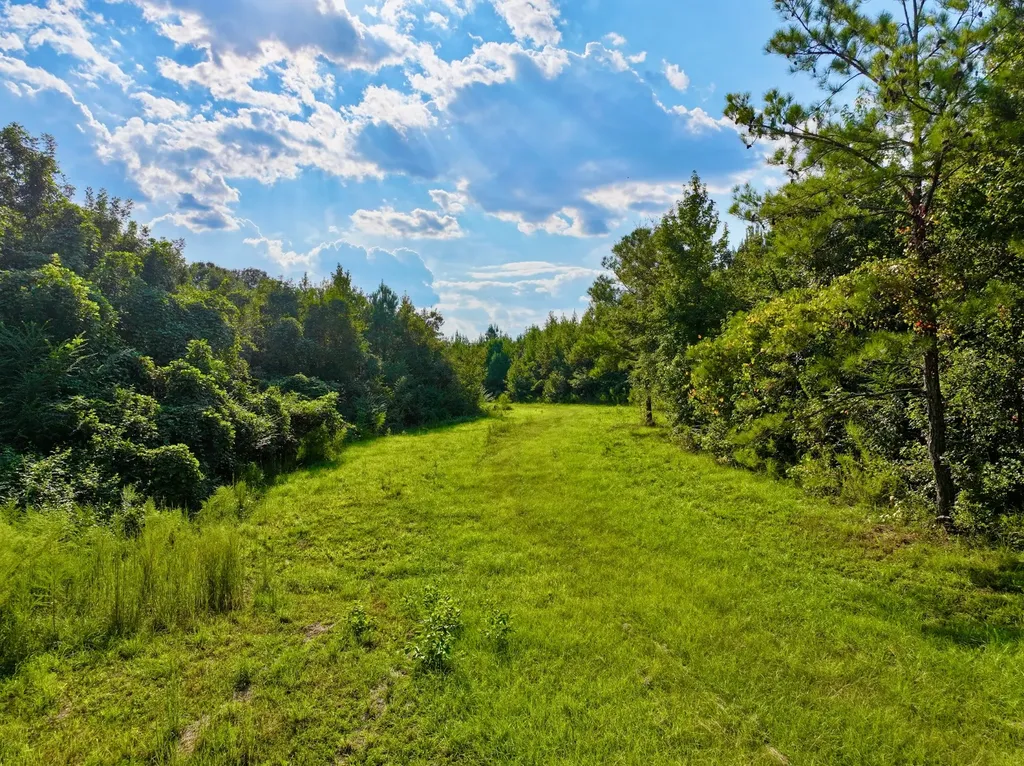 3662 Broad Street Pine Hill AL 36769