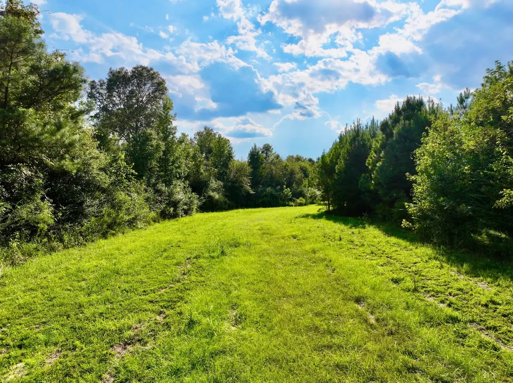 3662 Broad Street Pine Hill AL 36769