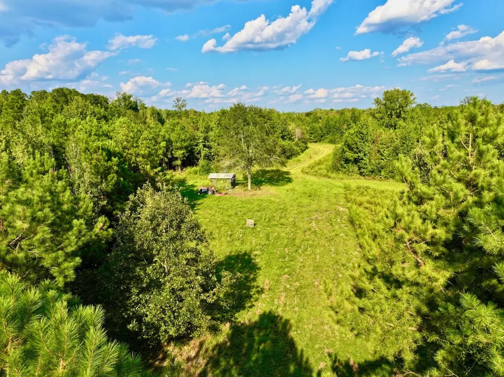 3662 Broad Street Pine Hill AL 36769