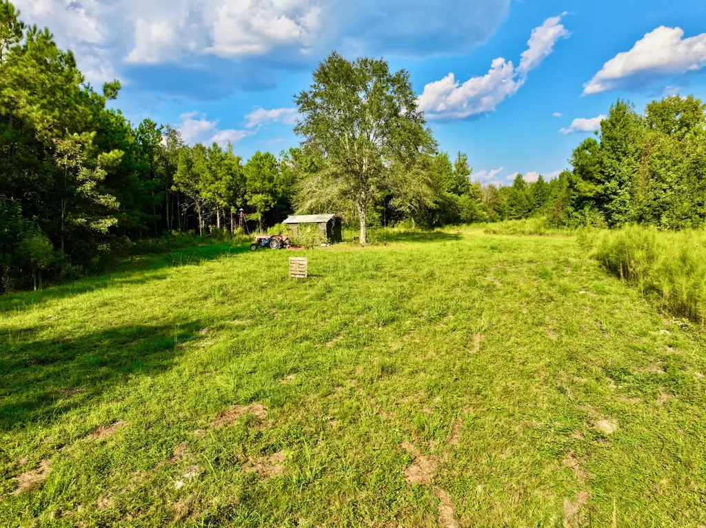 3662 Broad Street Pine Hill AL 36769