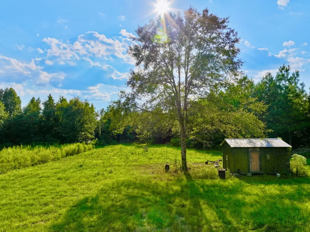 3662 Broad Street Pine Hill AL 36769