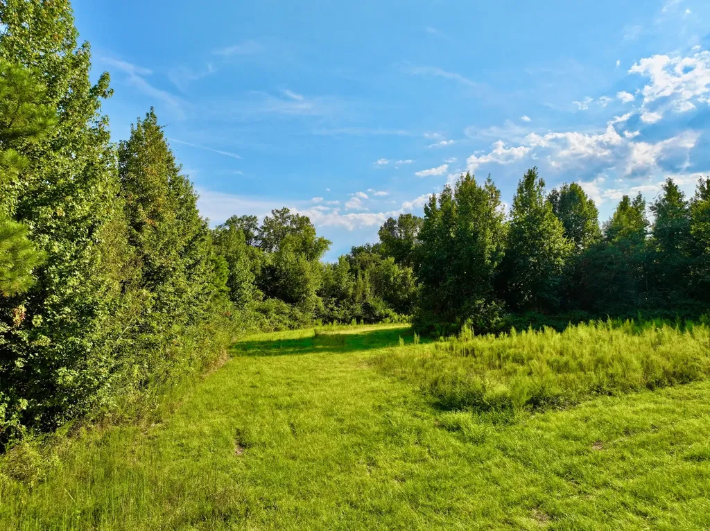 3662 Broad Street Pine Hill AL 36769