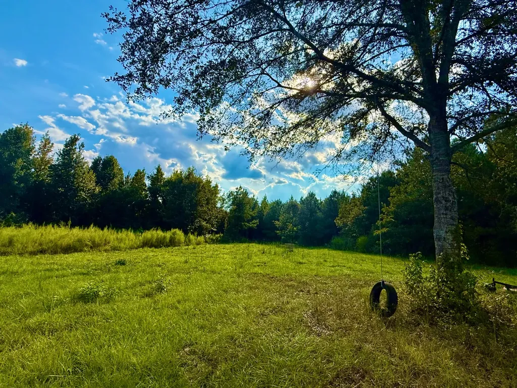 3662 Broad Street Pine Hill AL 36769