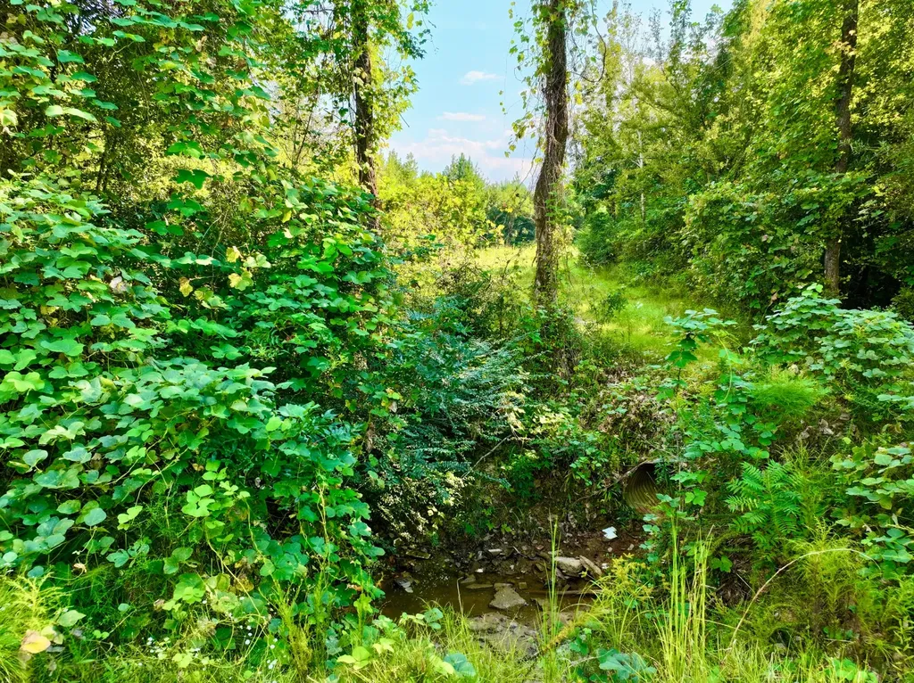 3662 Broad Street Pine Hill AL 36769