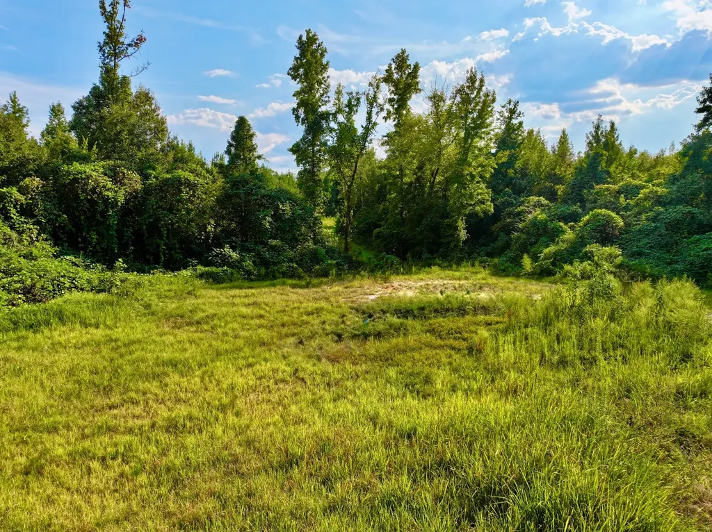 3662 Broad Street Pine Hill AL 36769