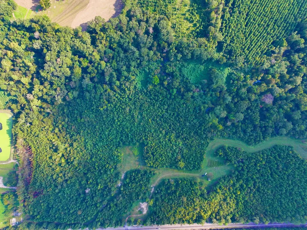 3662 Broad Street Pine Hill AL 36769