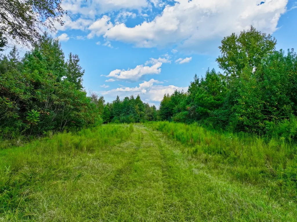 3662 Broad Street Pine Hill AL 36769