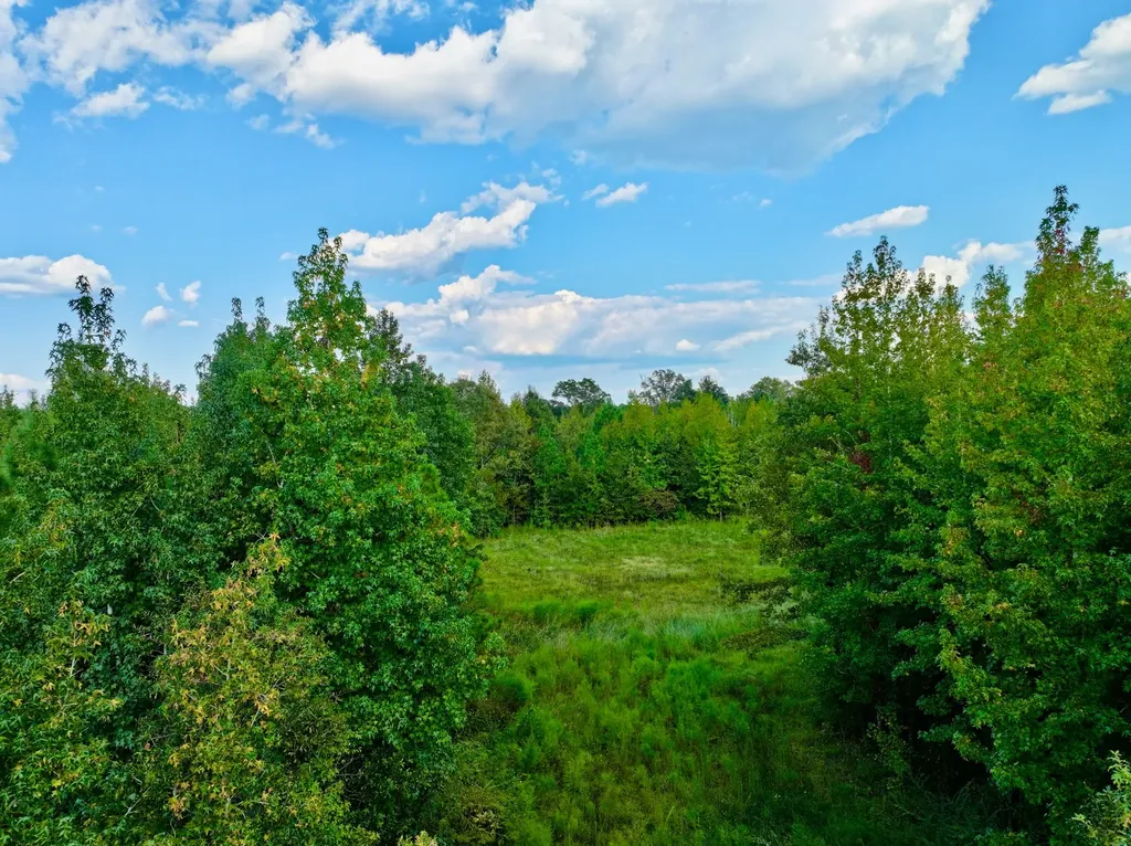 3662 Broad Street Pine Hill AL 36769