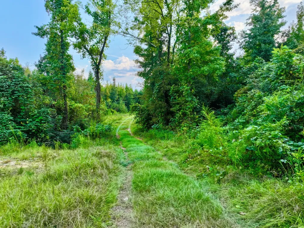 3662 Broad Street Pine Hill AL 36769