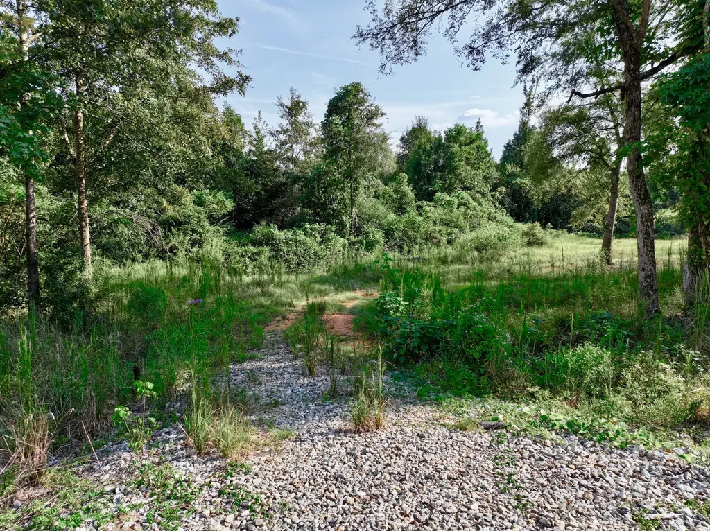 3662 Broad Street Pine Hill AL 36769