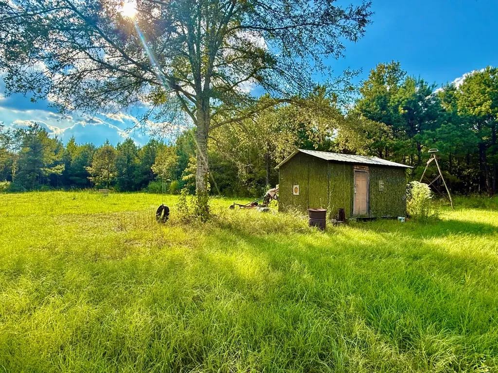 3662 Broad Street Pine Hill AL 36769