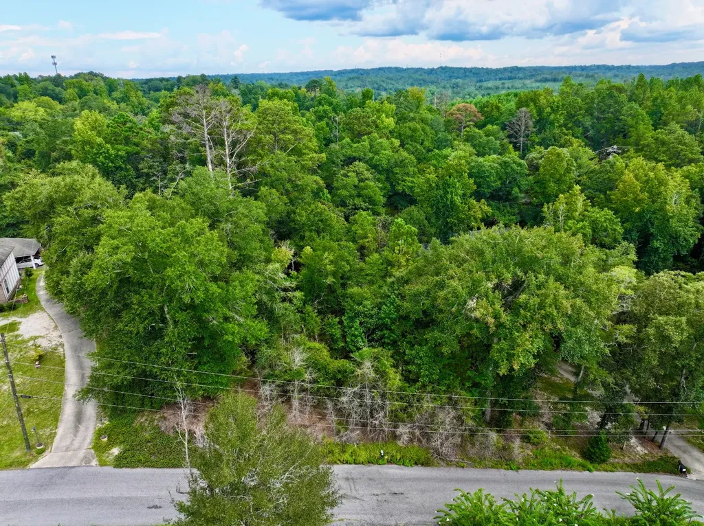 108 Jerry Circle Jackson AL 36545