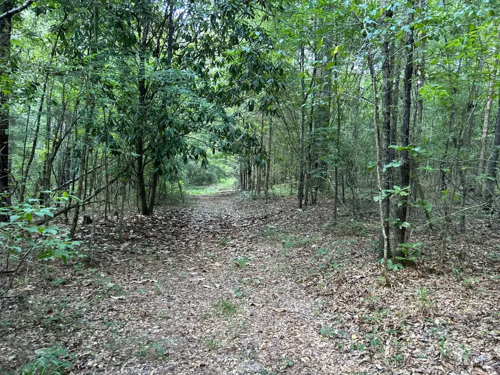 0 Rose Hill Road Rose Hill AL 36028