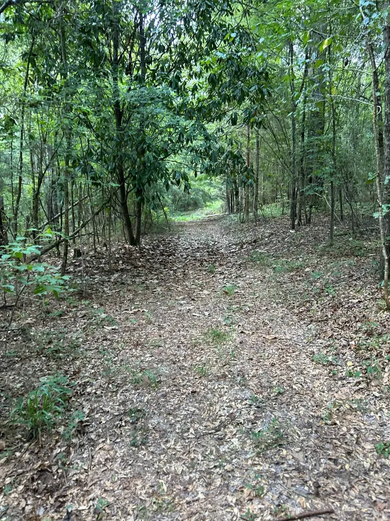 0 Rose Hill Road Rose Hill AL 36028