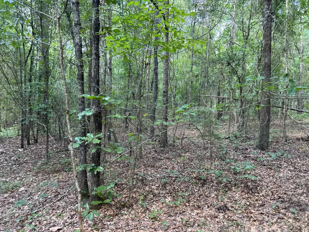 0 Rose Hill Road Rose Hill AL 36028
