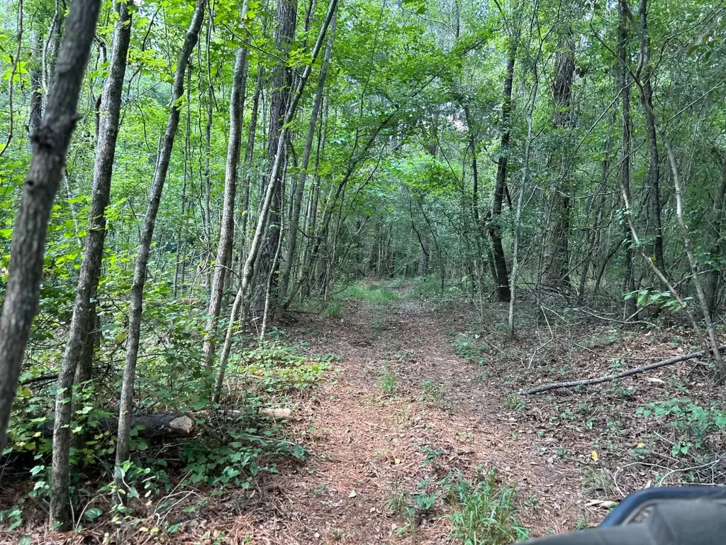 0 Rose Hill Road Rose Hill AL 36028