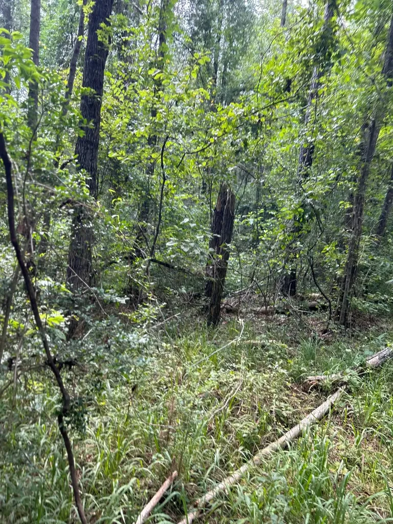 0 Rose Hill Road Rose Hill AL 36028