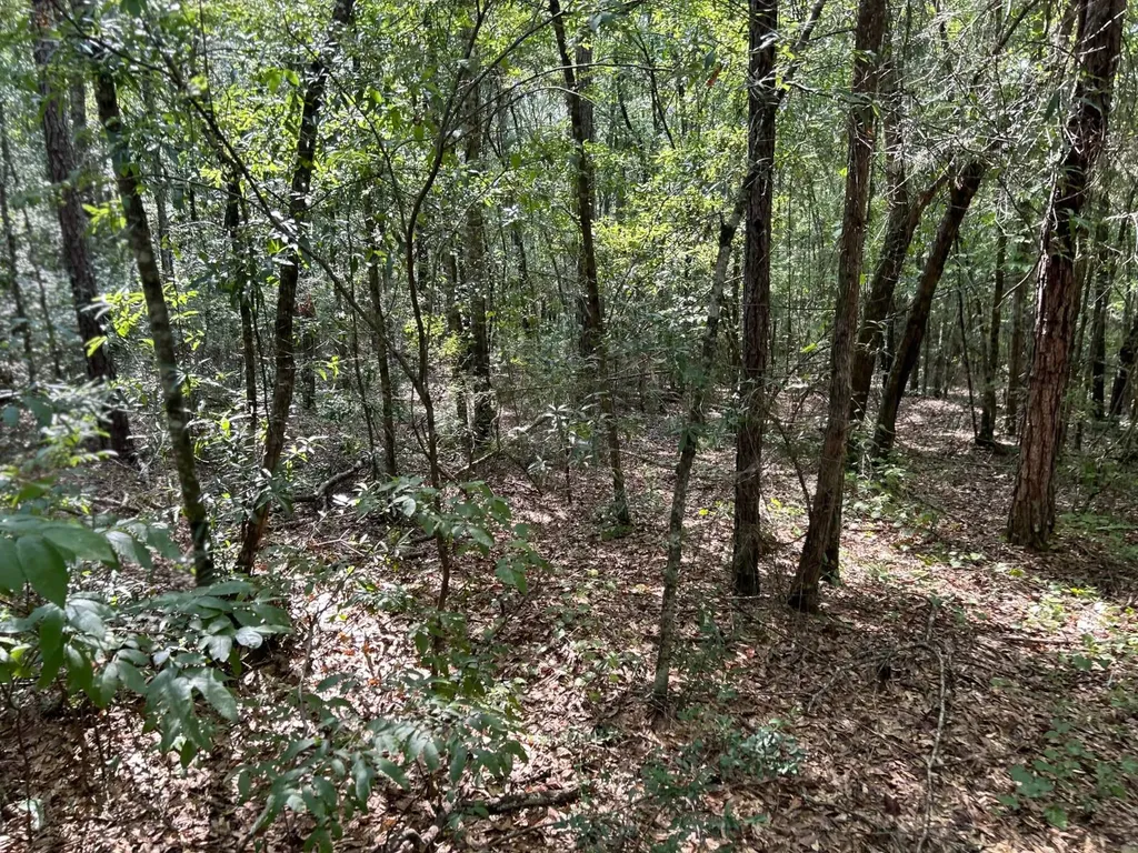 0 Rose Hill Road Rose Hill AL 36028