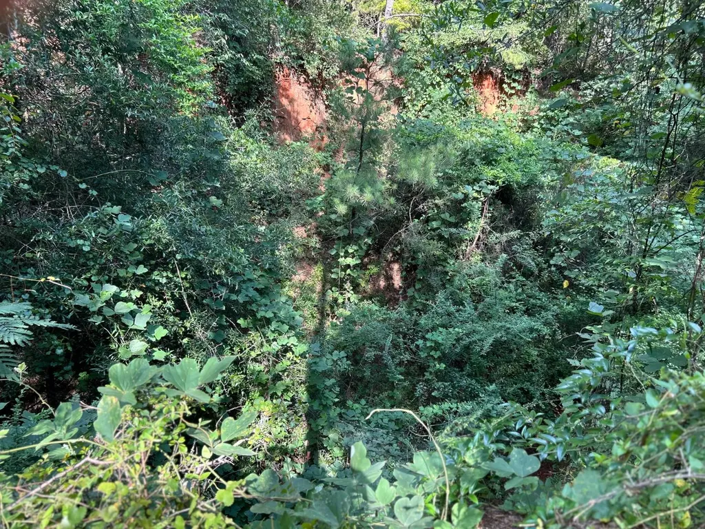 0 Rose Hill Road Rose Hill AL 36028