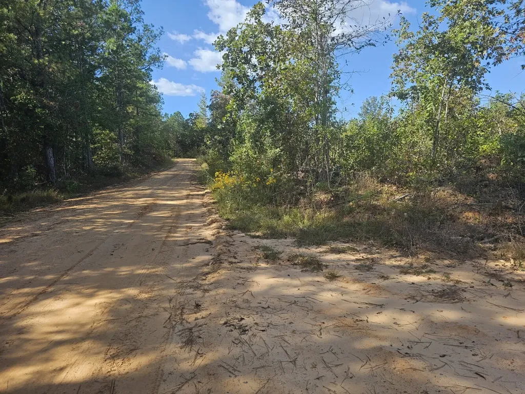 000 New Church Road Sulligent AL 35586