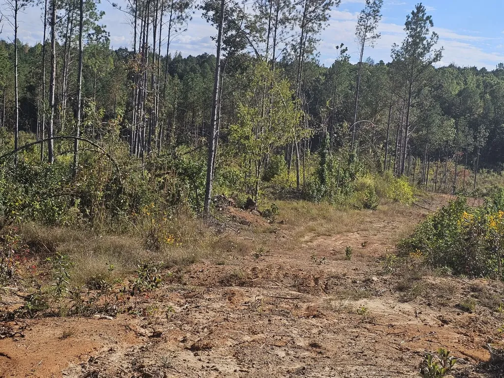 000 New Church Road Sulligent AL 35586