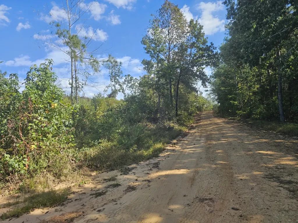 000 New Church Road Sulligent AL 35586