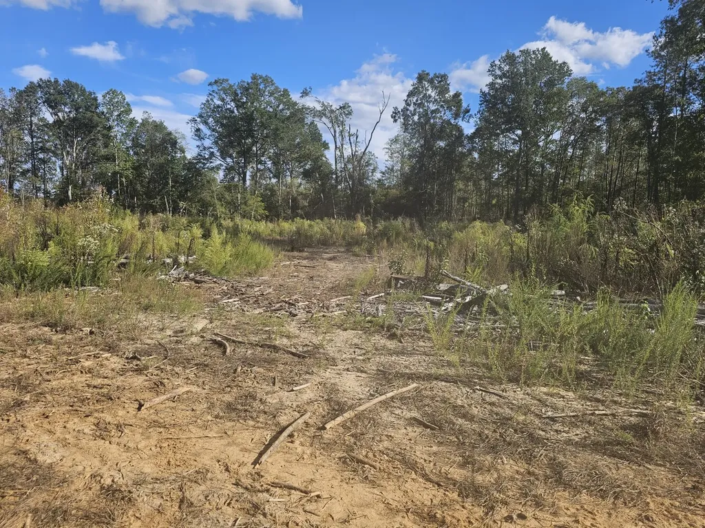 000 New Church Road Sulligent AL 35586