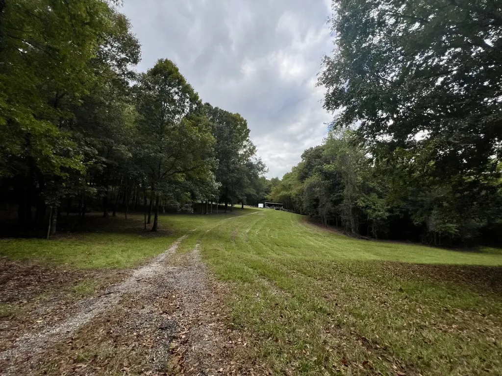 122 Whitehead Road Abbeville AL 36310