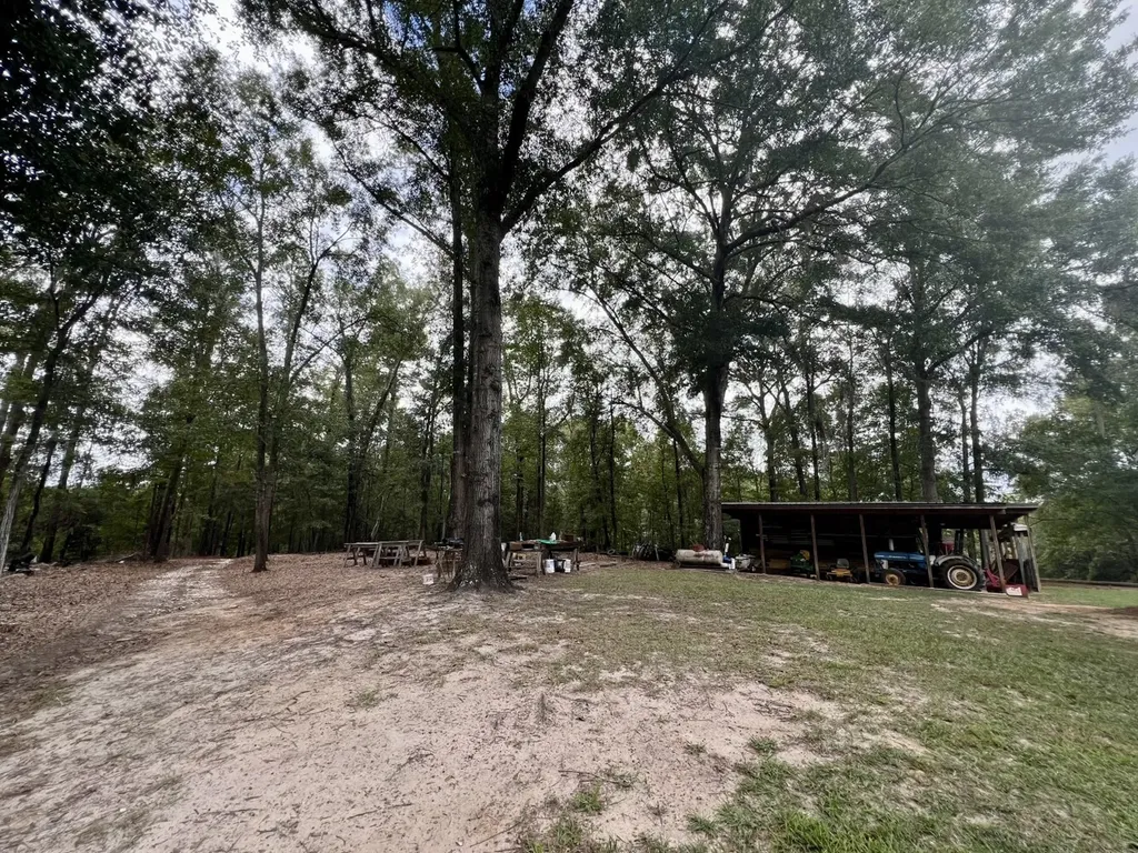 122 Whitehead Road Abbeville AL 36310