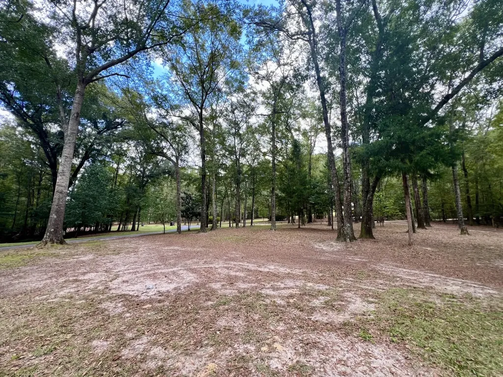 122 Whitehead Road Abbeville AL 36310