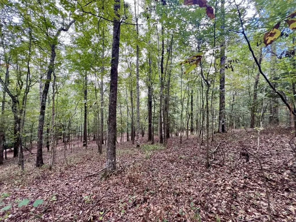 122 Whitehead Road Abbeville AL 36310
