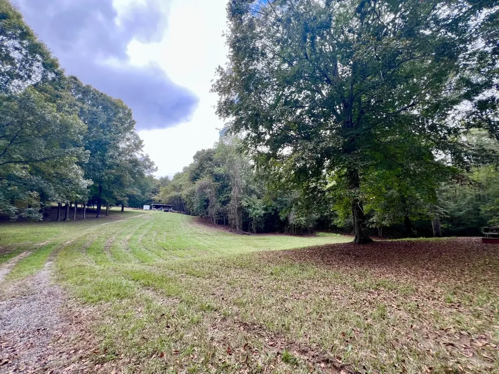 122 Whitehead Road Abbeville AL 36310