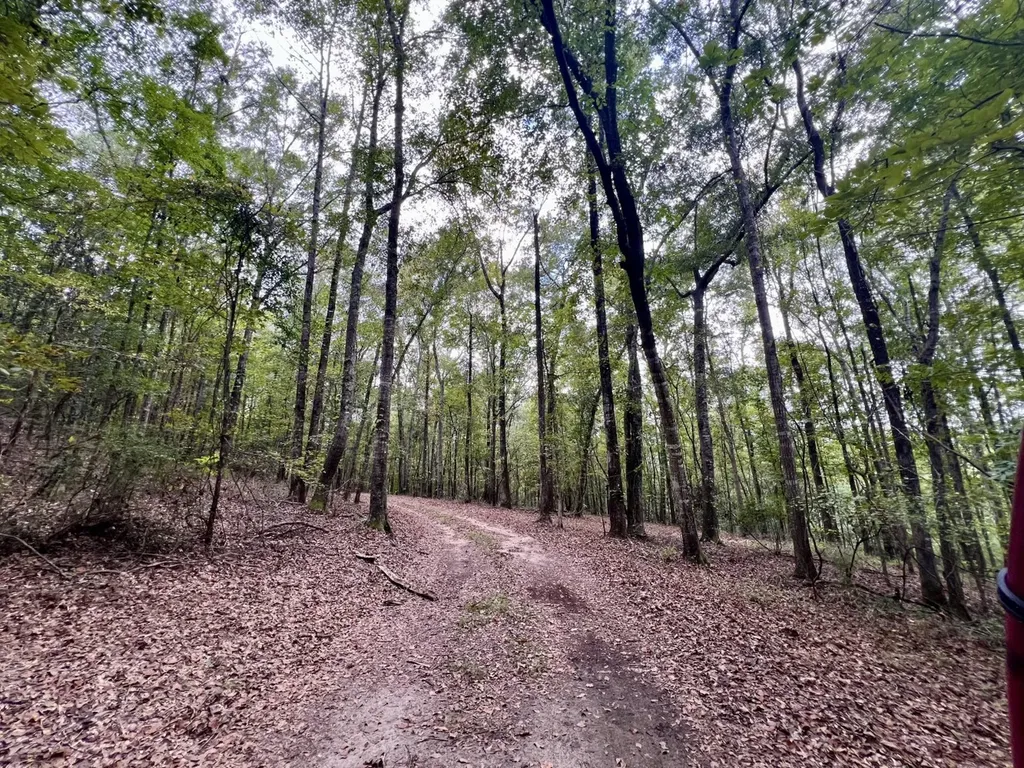 122 Whitehead Road Abbeville AL 36310